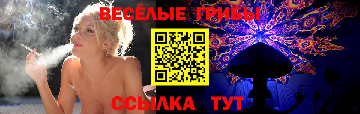 Минеральные Воды  Галлюциногенные грибы Cubensis  Вход с VPN 